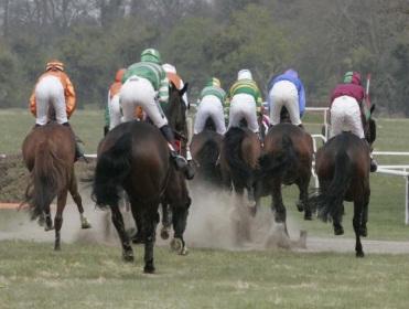 http://betting.betfair.com/horse-racing/Punchestown%202.jpg